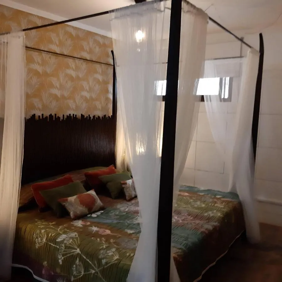 Vivienda Vacacional Tinizara アロナ ヴィラ